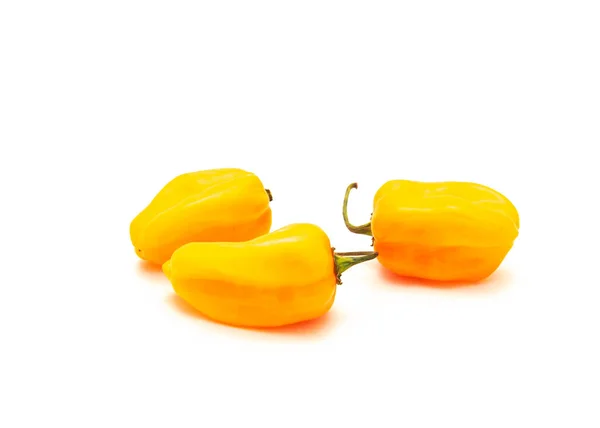 Tres Chiles Habaneros Anaranjados Aislados Sobre Fondo Blanco Frutas Pimienta — Foto de Stock