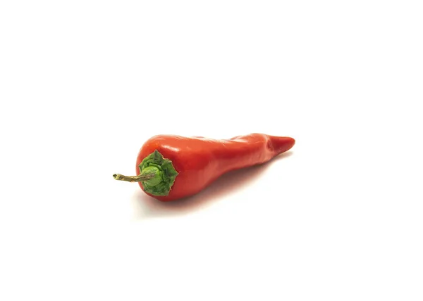 Enkele Rijpe Fresno Chili Fresno Chili Peper Fruit Geïsoleerd Witte — Stockfoto