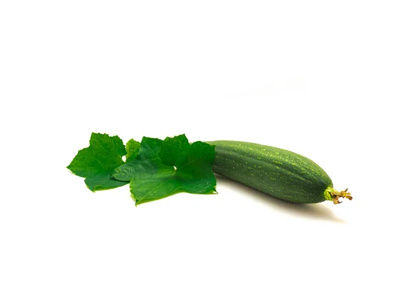 Organic Luffa Fruit Green Leaves Isolated White Background Homegrown Organic — Stock Photo, Image