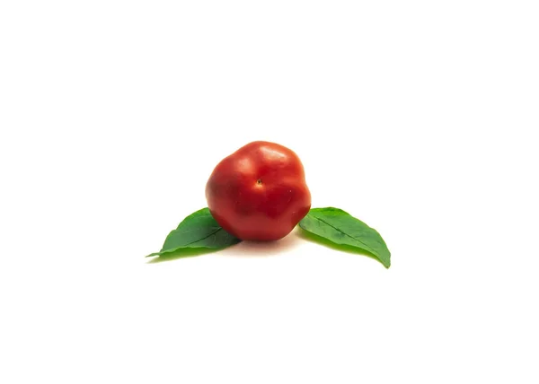 Hot cherry pepper or pimiento fruit and fresh leaves isolated on white — Stock Photo, Image