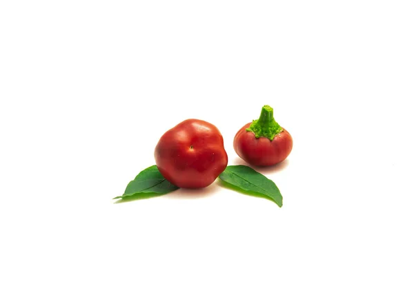 Dos pimientos picantes o fruta de pimiento y hojas frescas aisladas en blanco — Foto de Stock