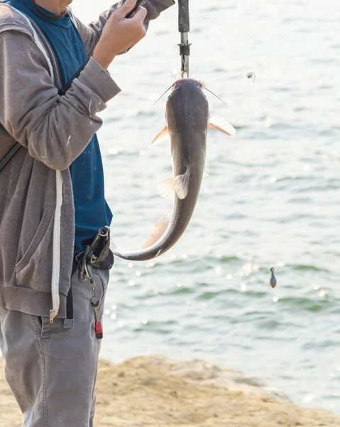 Close-up Asian fisherman with rod and fish lip gripper handle the catfish near Lavon Lake, Texas, America.