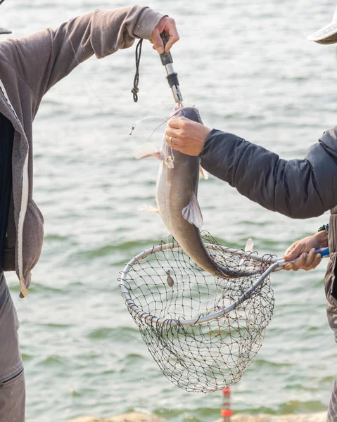 クローズアップビュー魚のリップグリッパーブガグリップとランディングネットを持つ2人のアジアの男性は ナマズをキャッチします テキサス州のラボン湖淡水釣りを背景に — ストック写真