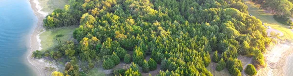 Vista Aerea Panoramica Rigogliosi Pini Verdi Ticky Creek Park Estremità — Foto Stock