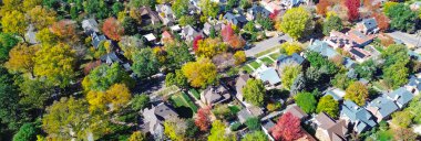 Denver Caddesi 'nin panorama hava manzarası. Ağaç astarlı medyan ve ahşap tamponlu. Sarı bal çekirgeleri, sessiz kaldırımların ve yüzyılın ortalarındaki bahçeli evlerin üzerine filtrelenmiş gölgeler bıraktı. ABD