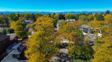 Denver, Colorado 'nun renkli banliyöleri, şehir merkezindeki Skylines ve Rocky Mountain arka planlarına uzanan sessiz caddenin tepesinde sarı tepeli bal çekirgesi ağaçlarıyla renklenir. Eğimli çatılar ve filtrelenmiş gölgeler. ABD