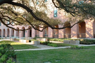 Kalın yaprakları olan büyük bir meşe ağacı tuğla bina kemerli pencerelere karmaşık gölgeler bırakır. Beton banklar, asfalt kaldırım yolu... Waco, TX 'teki üniversite kampüsünde budanmış çalılardan oluşan bahçeye açılıyor. ABD