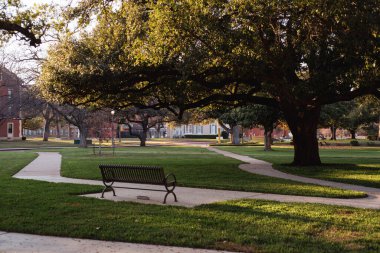 Gölgeli metal bank, okul kampüsü gibi parktaki sarmal beton yolların yanında oturur. Olgun ağaçlar, açık çimenler, uzak akademik binalar öğrenciler için barışçıl bir açık hava inzivası oluşturur, Waco, TX. ABD