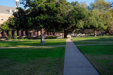 Düz beton yol, olgun ağaçlarla ve kesişen patikalarla çevrili yeşil çimenleri ayırır. Gölge altındaki banklar ve taş yapılar, Waco, TX gibi yerleşim yerlerine katkıda bulunur. ABD