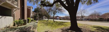 Panorama manzaralı devasa ağaç gövdesi gölgeleri taştan sınırları ve düşük yeşilliği olan bahçeye sürüklüyor. Caddenin karşısında, çitli evler ve yapraksız ağaçlar yansıyor, Coppell, TX. ABD