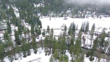 Peshastin Deresi yakınlarındaki açık kar tarlası, Blu Shastin RV Parkı 'nın batısındaki ağaçlık yerleşim yerlerinin arasında yer alır. Buzlu çatılar, sık yeşiller, dağınık kış ışığı Peshastin, WA