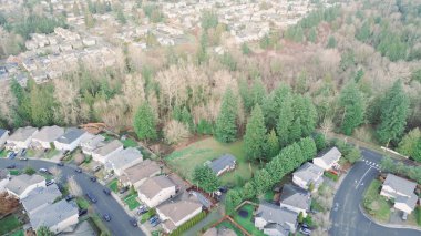 Kent Kangley yakınlarındaki sokakları çevreleyen yoğun koruluklu tamponlar Covington yatay alanı yakınlarındaki yerleşim bölgelerinin arasında. Karanlık çatılar, daima yeşil gölgeler, Kent, WA. ABD