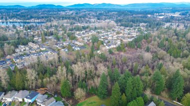 Panther Gölü yakınındaki caddeler SE 272. Cadde 'ye paralel ve Covington' a doğru ormanlık bir koridor. Karışık kiremitler, parlak çimenler, yemyeşil dokular Kent, WA 'da dengeli komşuluk paleti. ABD