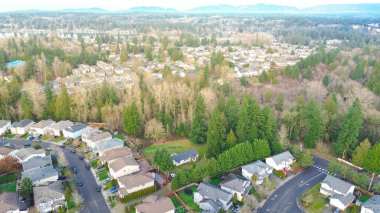 Panther Gölü 'nün kuzeyindeki mahalle sokakları East Hill konnektörüne doğru yavaşça yükseliyor. Değişik çatı renkleri, budanmış çimenler, yumuşak filtreli ışık altında yoğun ağaç çizgileri, Kent, Washington. ABD