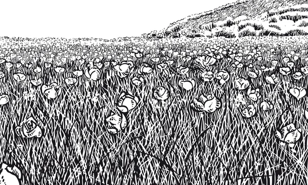 Kwieciste łąka czarno-białej wersji — Wektor stockowy