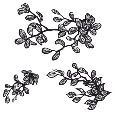 Dalları çizgi roman