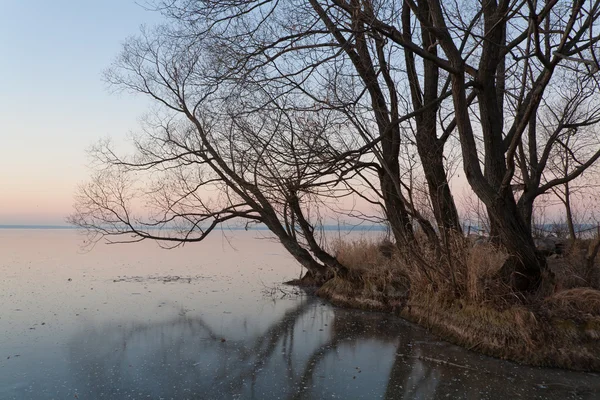 Chladný večer — Stock fotografie