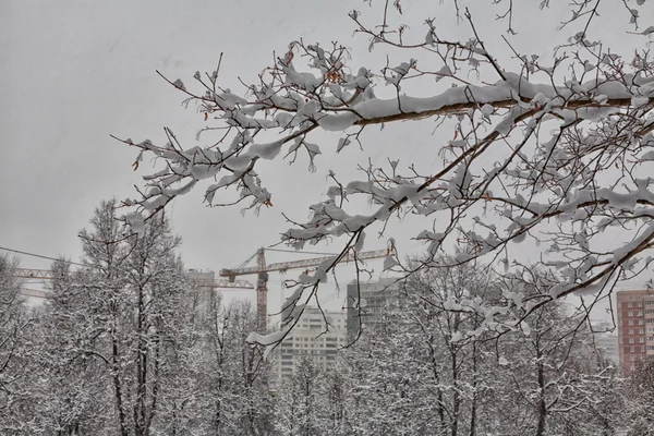 Sneeuw in de stad — Stockfoto