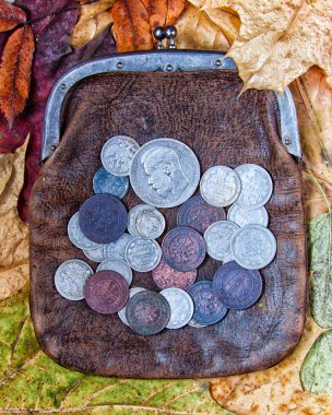 purse with coins clipart