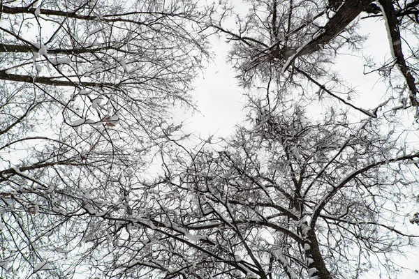 Nieve y cielo — Foto de Stock