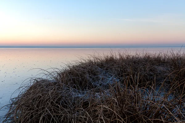 Stiffened coast — Stock Photo, Image