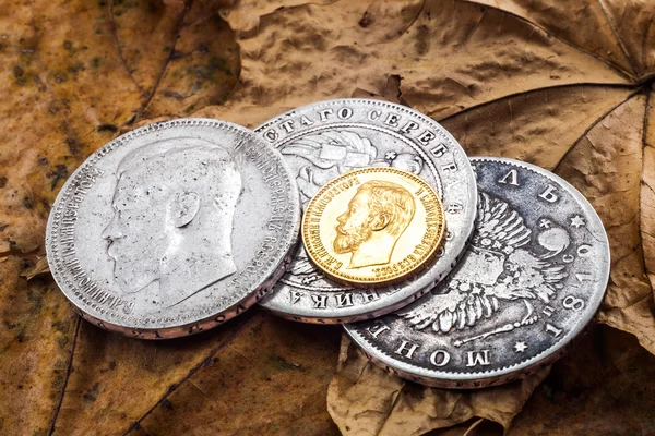 Coins on leaves — Stock Photo, Image