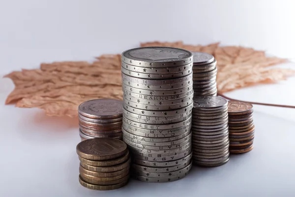 Coins and dry leaf — Stock Photo, Image