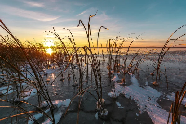 Severe winter decline — Stock Photo, Image