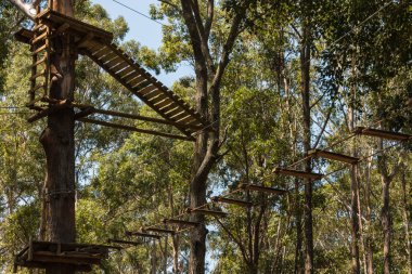 ağaç-top Macera Parkı