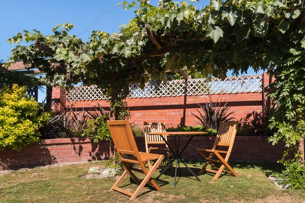 garden furniture under grapevine