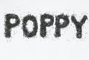 Beyaz arkaplanda haşhaş tohumları