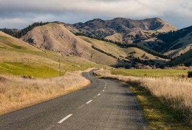 çimenli tepeler kıvrımlı köy yolunda