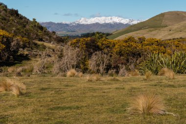 Yeni Zelanda Güney Alpler'in karla kaplı