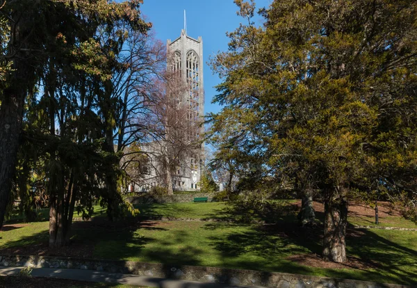在公园与树木的纳尔逊大教堂 — 图库照片