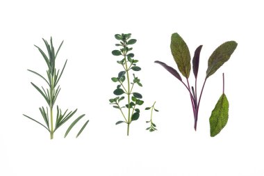 Taze biberiye, kekik ve adaçayı yaprakları beyaz arka planda izole edilmiş.