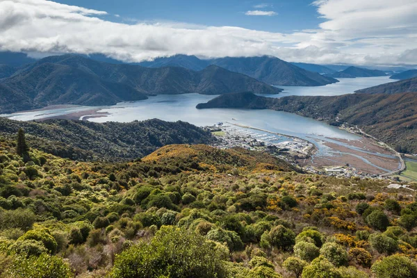 Marlborough Sound, Güney Adası, Yeni Zelanda 'da Pelorus Sound ile Havelock kasabasının hava manzarası