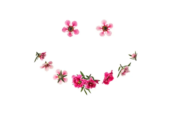 Flores Manuka Rosa Blanco Rostro Sonriente Aislado Sobre Fondo Blanco — Foto de Stock