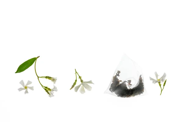 Γιασεμί Πράσινο Τσάι Φακελάκι Τσαγιού Λουλούδια Γιασεμί Αστέρι Άνθιση Απομονώνονται — Φωτογραφία Αρχείου