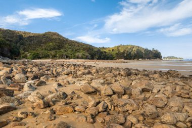 Abel Tasman Ulusal Parkı, Güney Adası, Yeni Zelanda 'da kumlu sahilde kumtaşı kayaları.