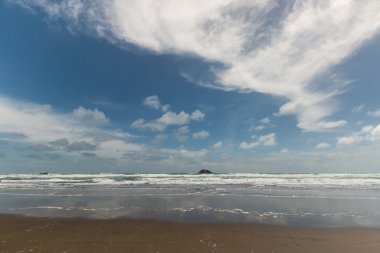 Muriwai beach, Yeni Zelanda