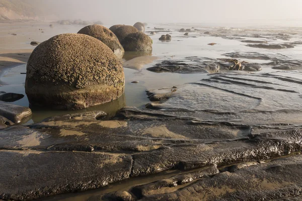 Moeraki-Felsbrocken bei Ebbe — Stockfoto