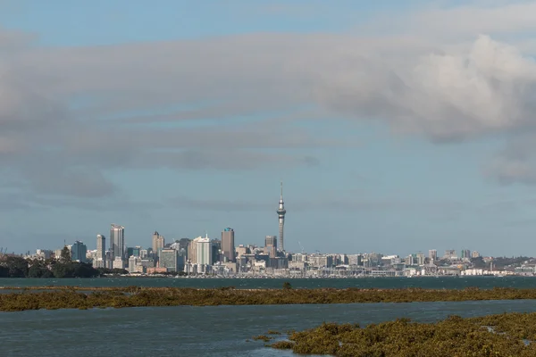 Auckland Skyline mit Mangrovenwald — Stockfoto