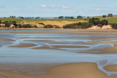 Long Bay beach adlı düşük tide, Yeni Zelanda