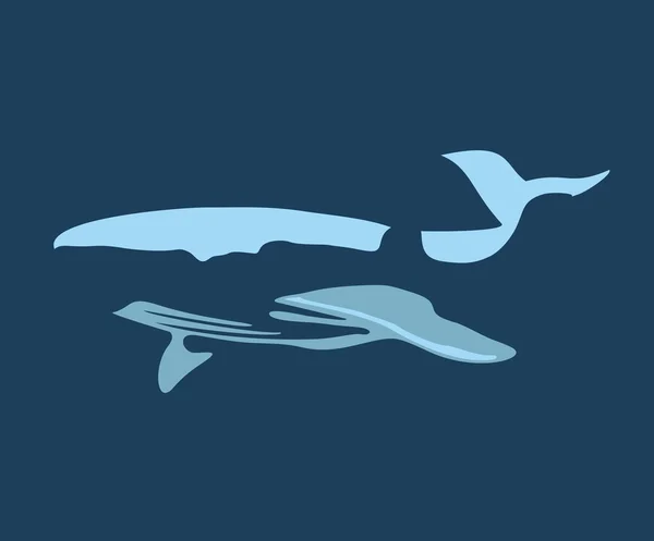 Vettore di balene — Vettoriale Stock