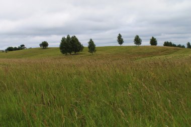 Yaz manzara ritimleri