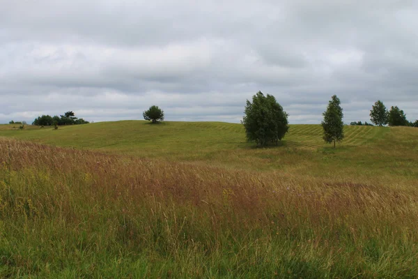 Ritmos del paisaje de verano — Foto de Stock