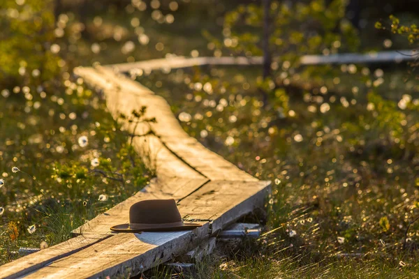 Ahşap üzerine unutulmuş şapka