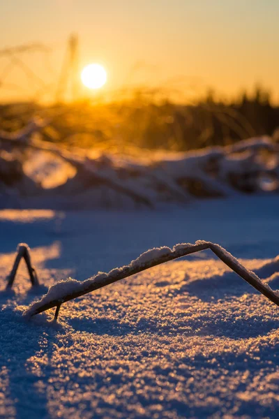 Cold sunrise — Stock Photo, Image