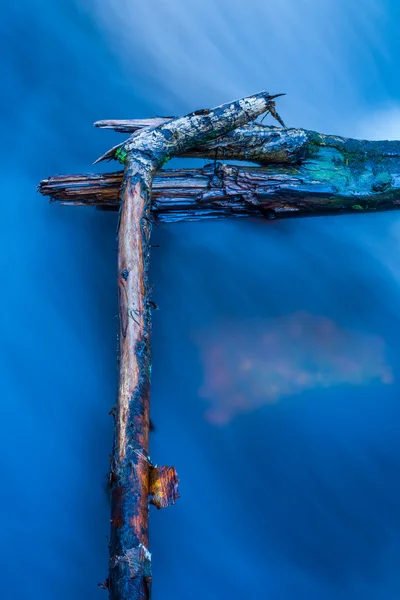 Acqua blu e albero — Foto Stock