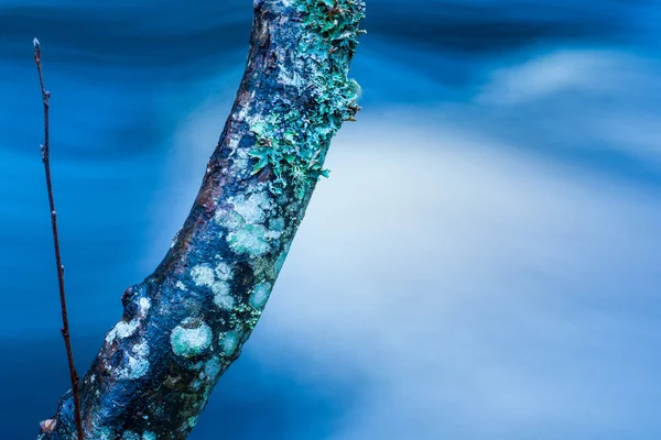 Águas azuis — Fotografia de Stock